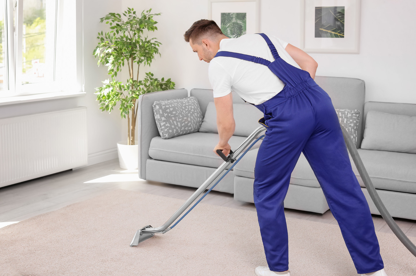 Why Use A Professional Carpet Cleaner At Your Springfield Il Home Golden Rule Cleaning More Springfield Il