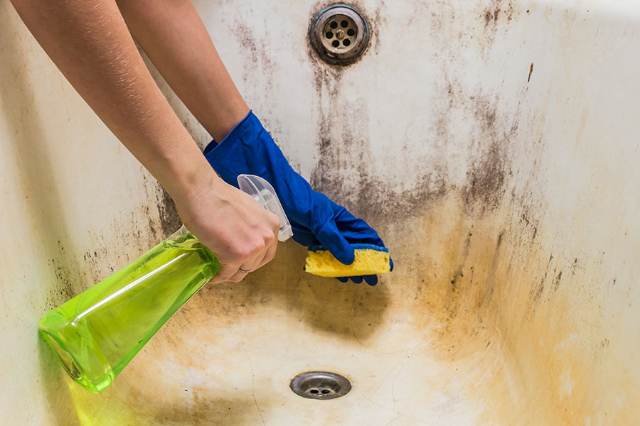 A homeowner using an eco-friendly cleaning solution and sponge to clean the inside of a dirty bathtub in Springfield, IL.